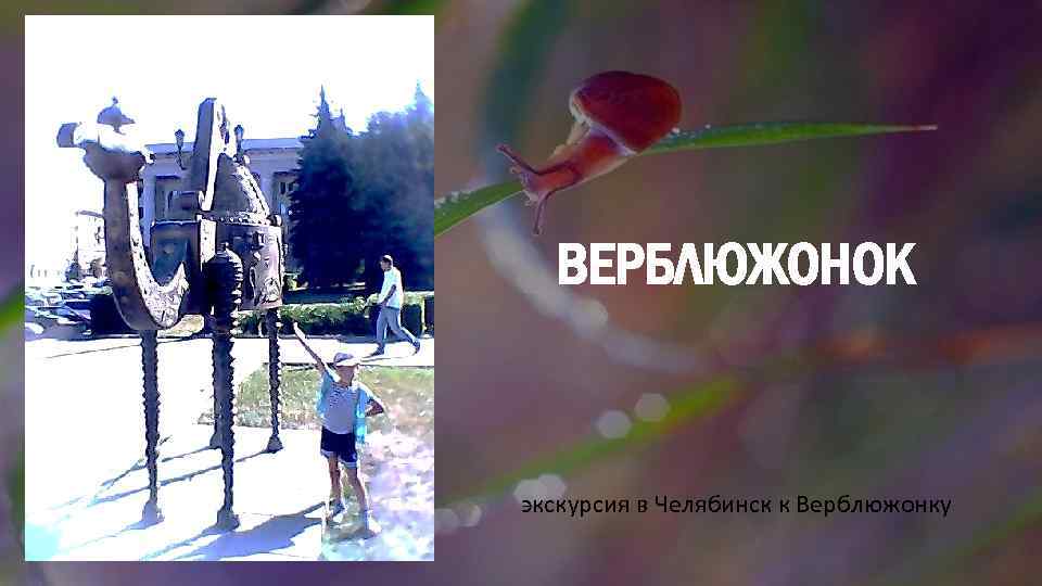 ВЕРБЛЮЖОНОК экскурсия в Челябинск к Верблюжонку 