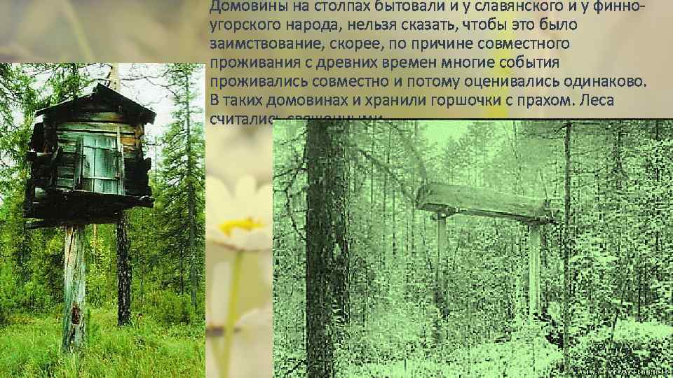 Домовины на столпах бытовали и у славянского и у финноугорского народа, нельзя сказать, чтобы