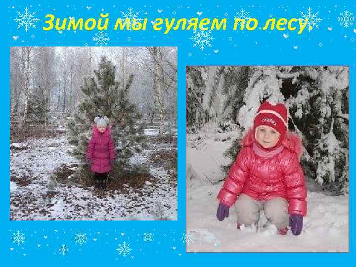 Зимой мы гуляем по лесу. 