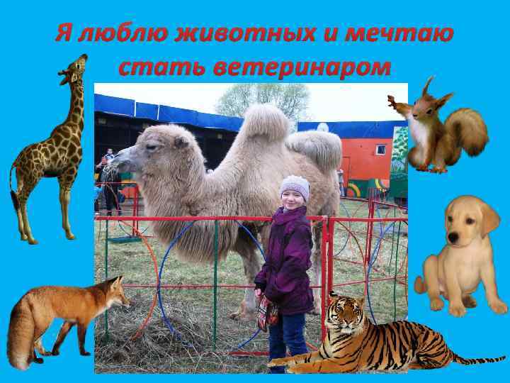 Я люблю животных и мечтаю стать ветеринаром 