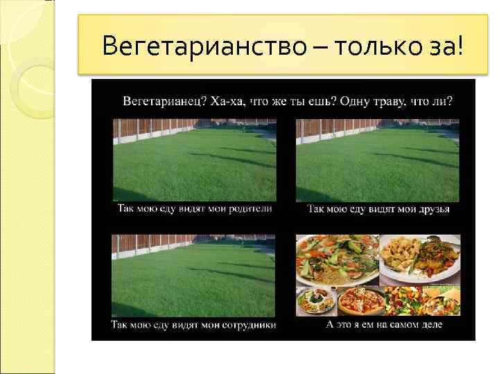 Вегетарианство – только за! 
