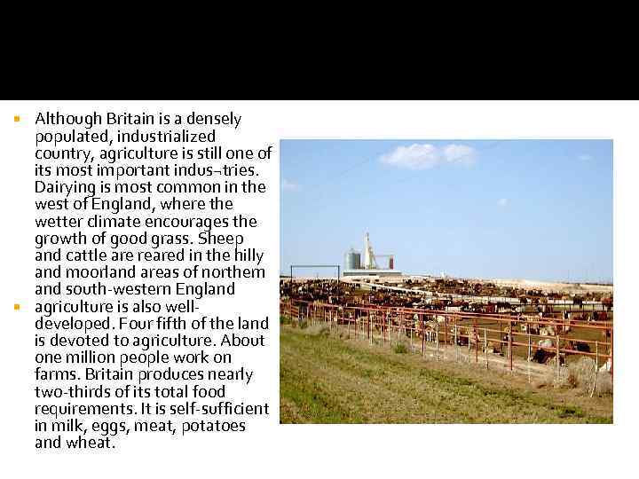 Although Britain is a densely populated, industrialized country, agriculture is still one of its