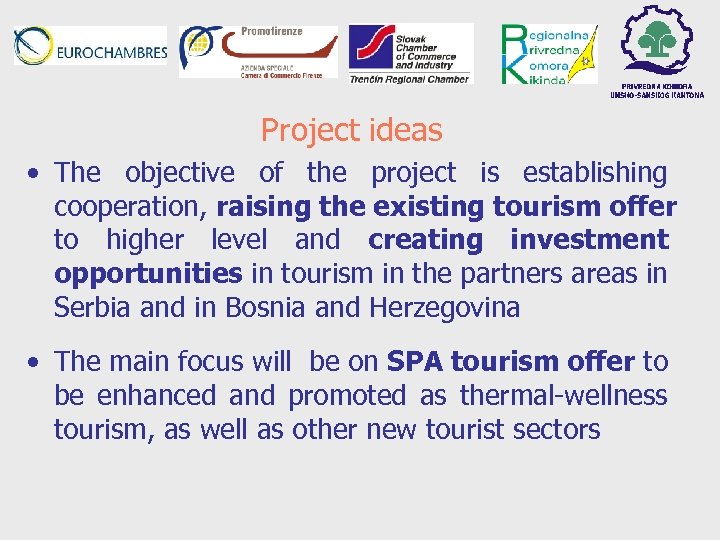 Project ideas • The objective of the project is establishing cooperation, raising the existing