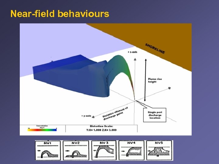 Near-field behaviours 