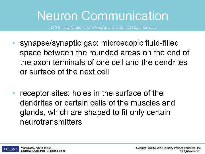 Neuron Communication LO 2. 2 How Neurons Use Neurotransmitters to Communicate • synapse/synaptic gap: