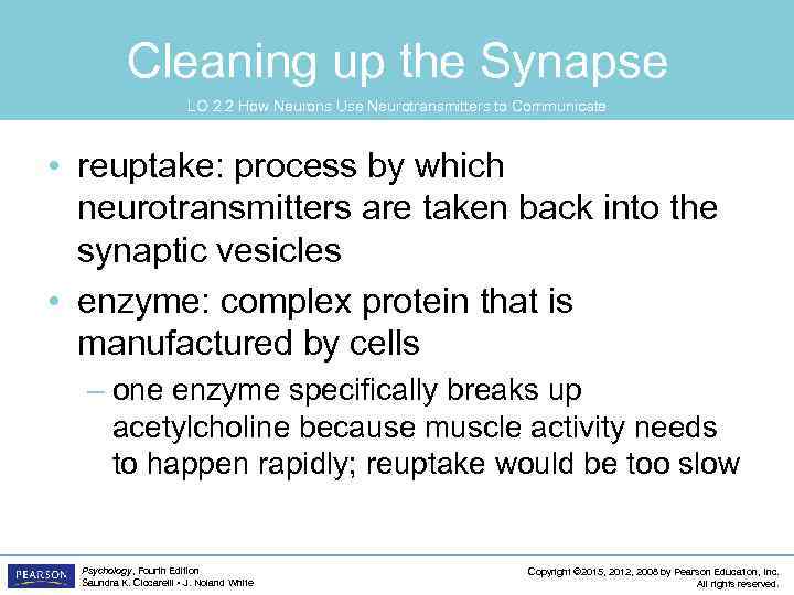 Cleaning up the Synapse LO 2. 2 How Neurons Use Neurotransmitters to Communicate •