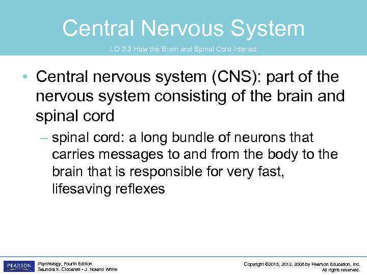 Central Nervous System LO 2. 3 How the Brain and Spinal Cord Interact •