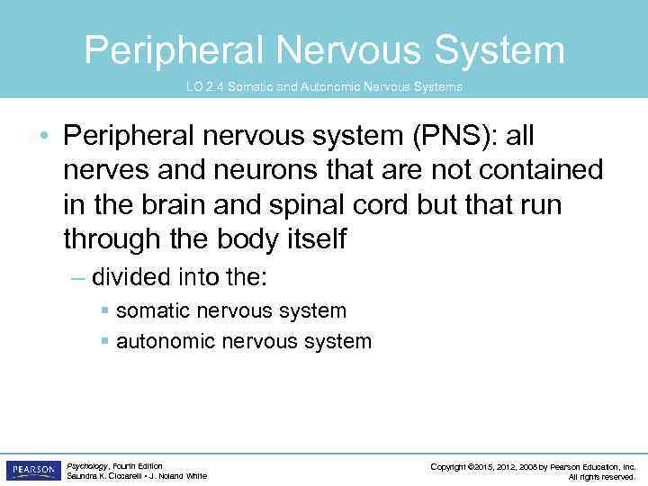 Peripheral Nervous System LO 2. 4 Somatic and Autonomic Nervous Systems • Peripheral nervous