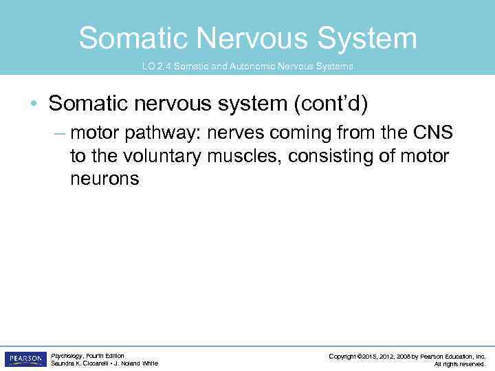 Somatic Nervous System LO 2. 4 Somatic and Autonomic Nervous Systems • Somatic nervous