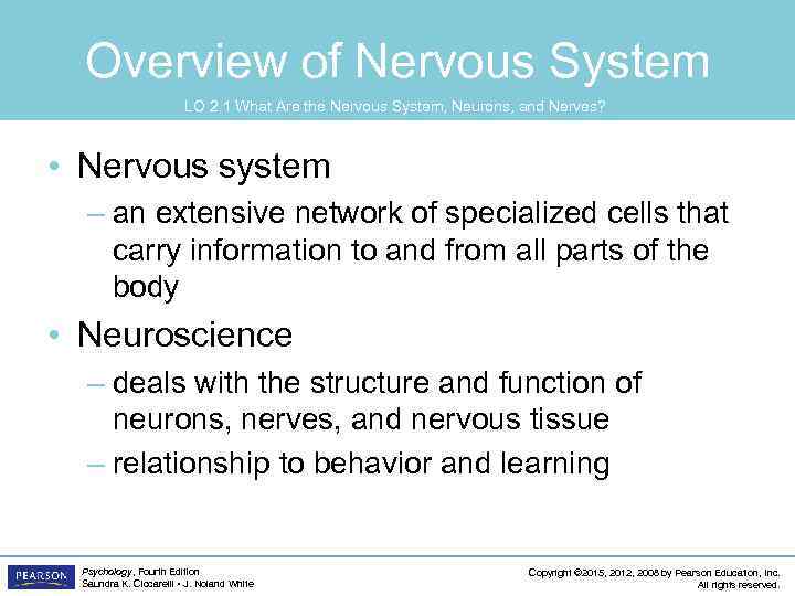 Overview of Nervous System LO 2. 1 What Are the Nervous System, Neurons, and