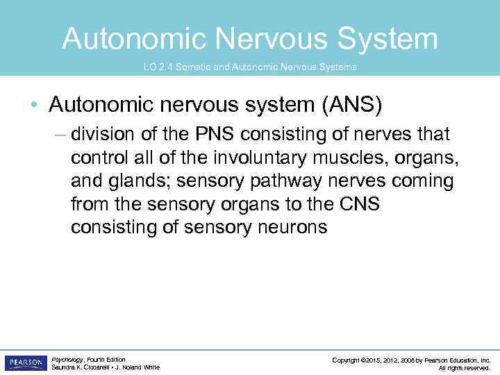 Autonomic Nervous System LO 2. 4 Somatic and Autonomic Nervous Systems • Autonomic nervous