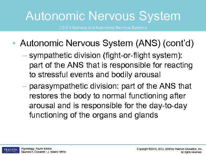 Autonomic Nervous System LO 2. 4 Somatic and Autonomic Nervous Systems • Autonomic Nervous