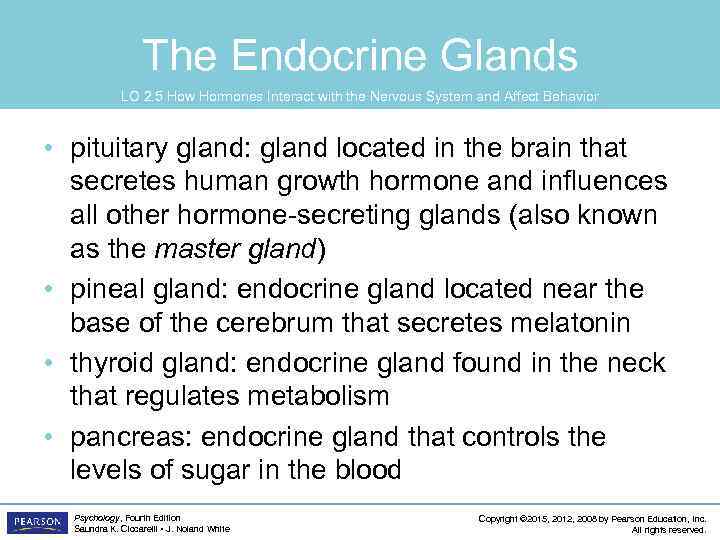 The Endocrine Glands LO 2. 5 How Hormones Interact with the Nervous System and