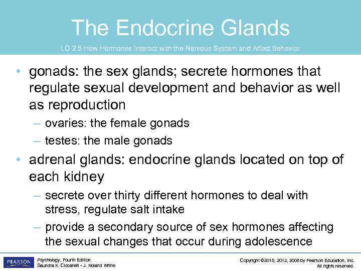 The Endocrine Glands LO 2. 5 How Hormones Interact with the Nervous System and