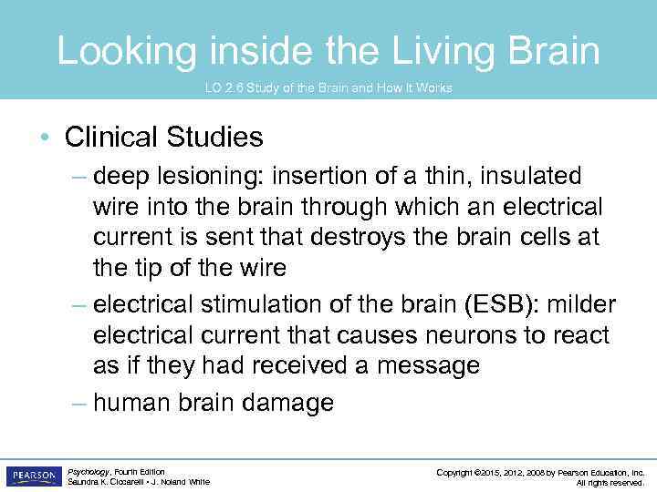 Looking inside the Living Brain LO 2. 6 Study of the Brain and How