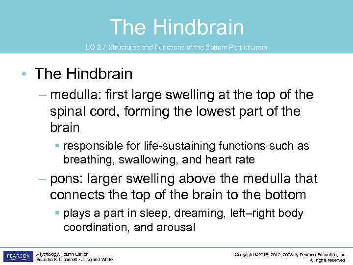 The Hindbrain LO 2. 7 Structures and Functions of the Bottom Part of Brain