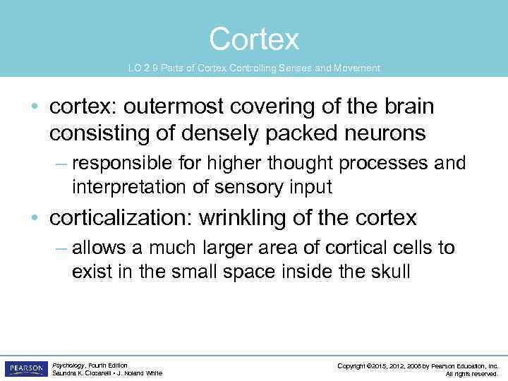 Cortex LO 2. 9 Parts of Cortex Controlling Senses and Movement • cortex: outermost