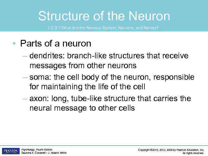 Structure of the Neuron LO 2. 1 What Are the Nervous System, Neurons, and