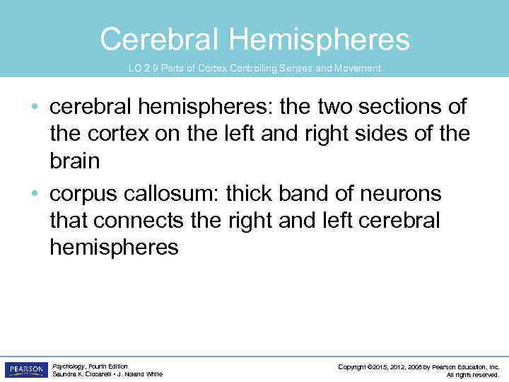 Cerebral Hemispheres LO 2. 9 Parts of Cortex Controlling Senses and Movement • cerebral