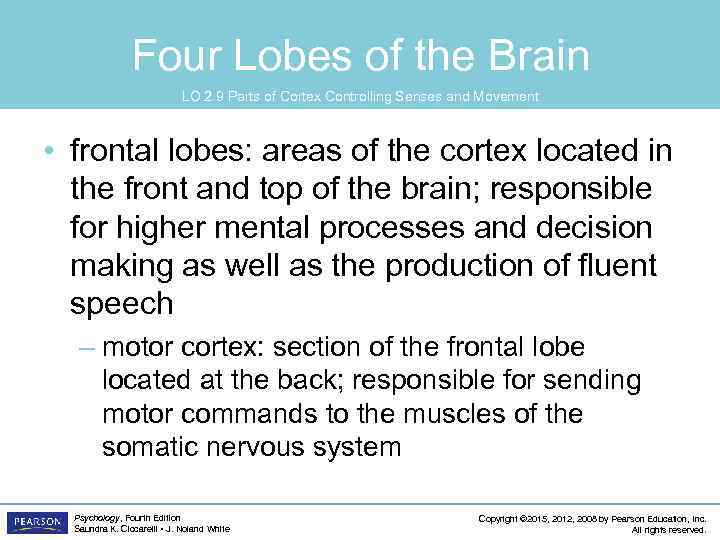 Four Lobes of the Brain LO 2. 9 Parts of Cortex Controlling Senses and