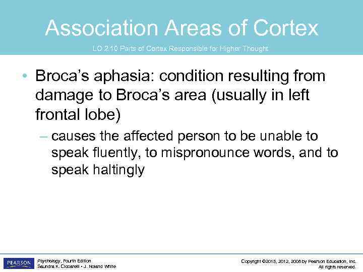 Association Areas of Cortex LO 2. 10 Parts of Cortex Responsible for Higher Thought