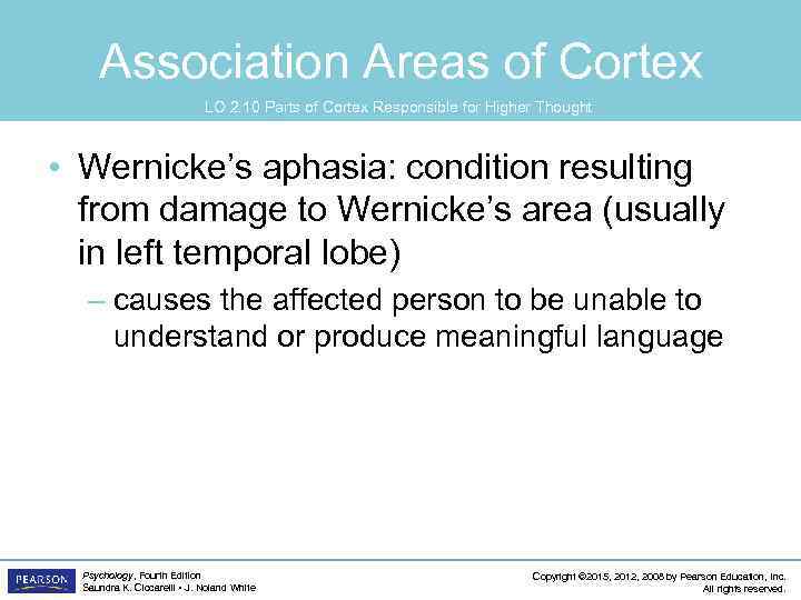 Association Areas of Cortex LO 2. 10 Parts of Cortex Responsible for Higher Thought