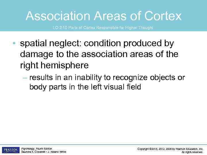 Association Areas of Cortex LO 2. 10 Parts of Cortex Responsible for Higher Thought