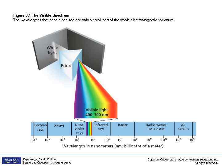 Figure 3. 1 The Visible Spectrum The wavelengths that people can see are only