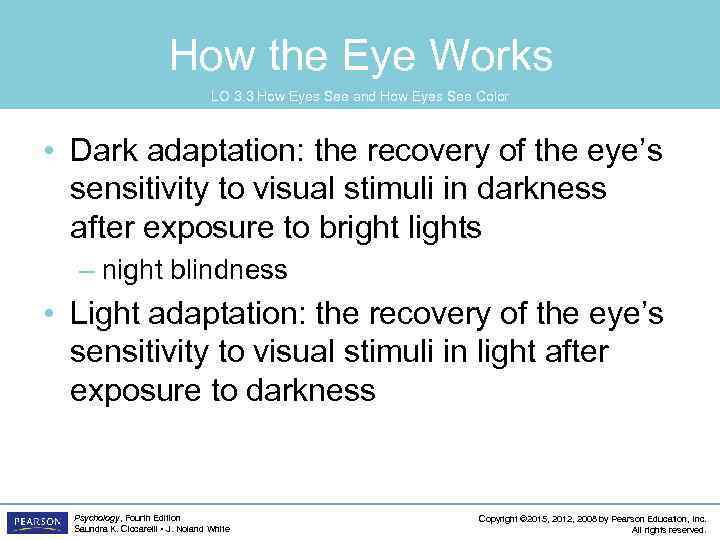 How the Eye Works LO 3. 3 How Eyes See and How Eyes See