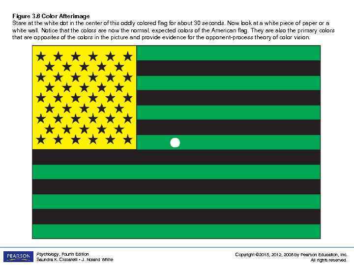 Figure 3. 6 Color Afterimage Stare at the white dot in the center of
