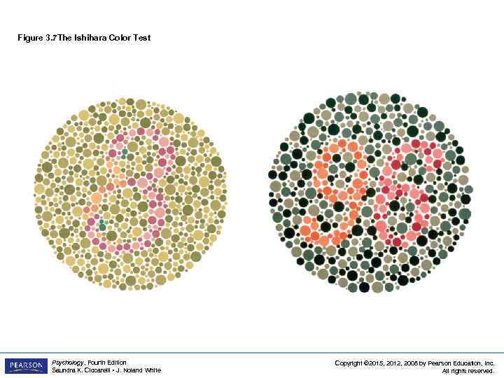 Figure 3. 7 The Ishihara Color Test Psychology, Fourth Edition Saundra K. Ciccarelli •