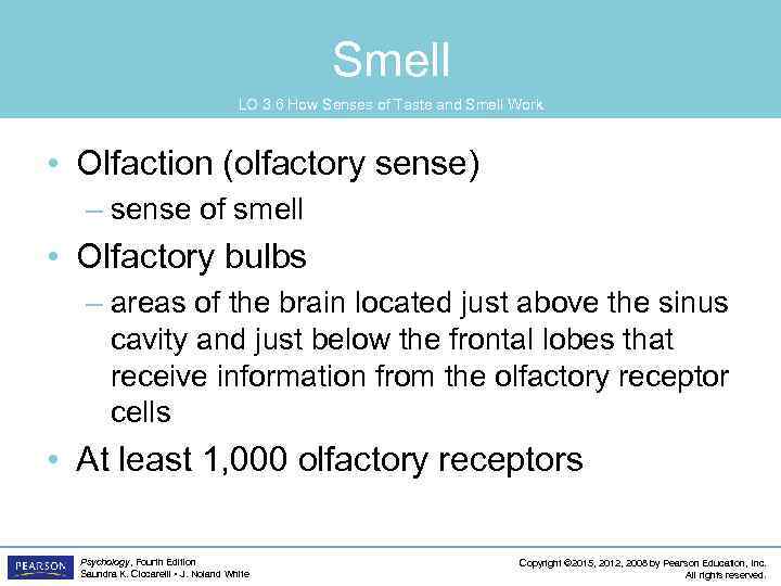 Smell LO 3. 6 How Senses of Taste and Smell Work • Olfaction (olfactory
