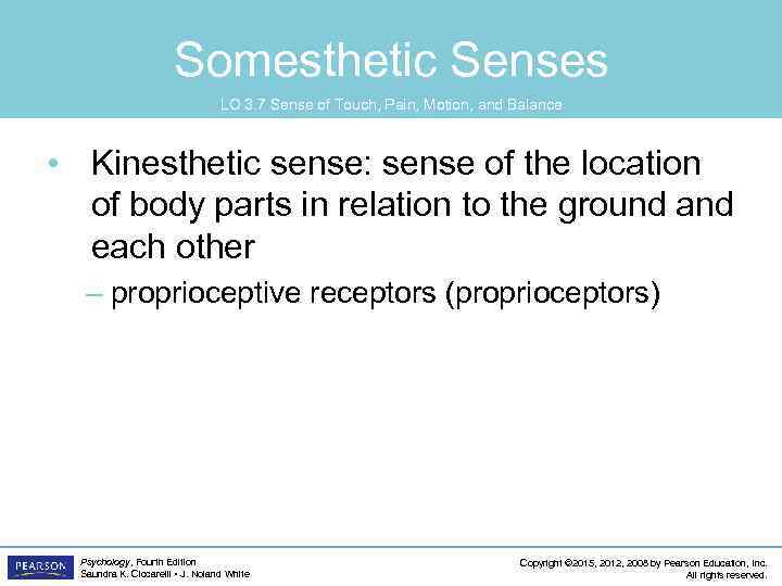 Somesthetic Senses LO 3. 7 Sense of Touch, Pain, Motion, and Balance • Kinesthetic