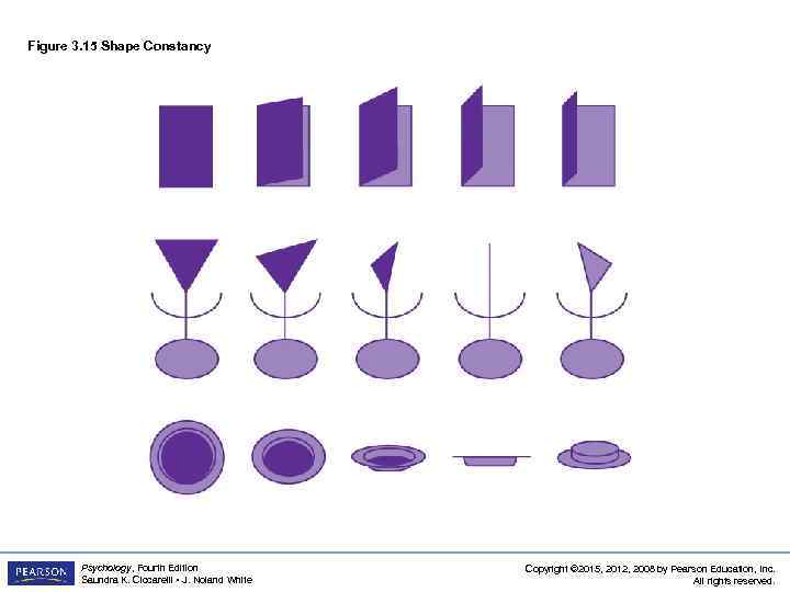 Figure 3. 15 Shape Constancy Psychology, Fourth Edition Saundra K. Ciccarelli • J. Noland