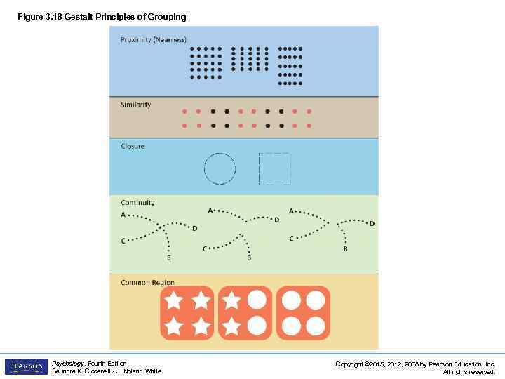 Figure 3. 18 Gestalt Principles of Grouping Psychology, Fourth Edition Saundra K. Ciccarelli •
