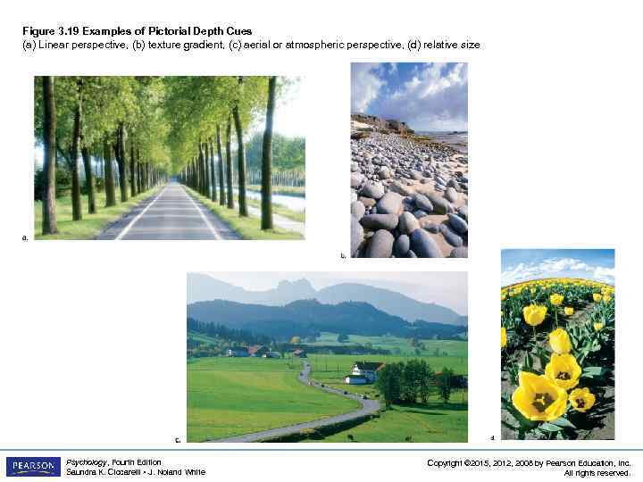 Figure 3. 19 Examples of Pictorial Depth Cues (a) Linear perspective, (b) texture gradient,