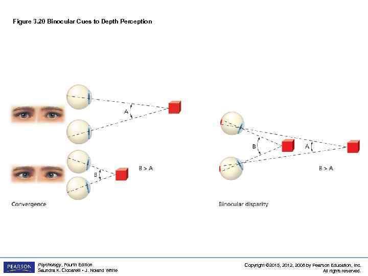 Figure 3. 20 Binocular Cues to Depth Perception Psychology, Fourth Edition Saundra K. Ciccarelli