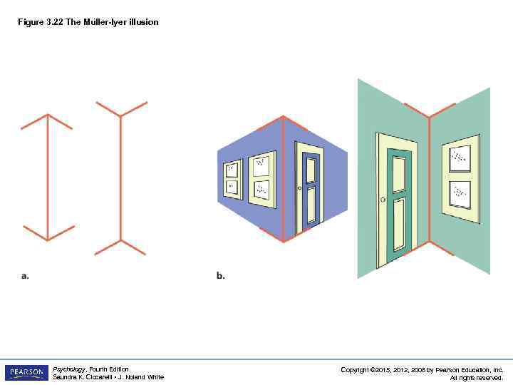 Figure 3. 22 The Mu ller-lyer illusion Psychology, Fourth Edition Saundra K. Ciccarelli •
