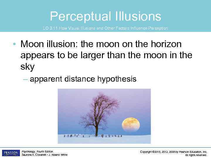 Perceptual Illusions LO 3. 11 How Visual Illusions and Other Factors Influence Perception •