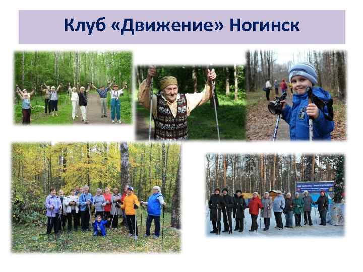 Клуб «Движение» Ногинск 