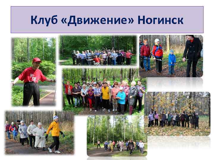 Клуб «Движение» Ногинск 