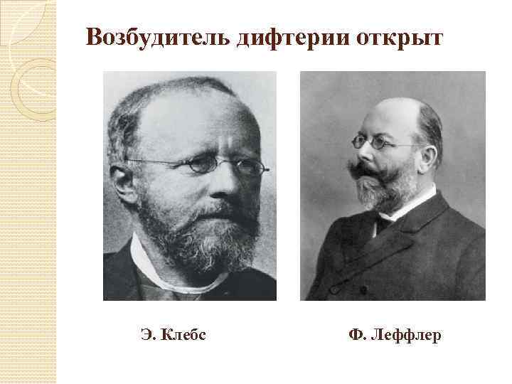 Возбудитель дифтерии открыт Э. Клебс Ф. Леффлер 