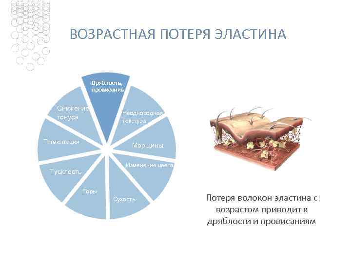 ВОЗРАСТНАЯ ПОТЕРЯ ЭЛАСТИНА Дряблость, провисание Снижение тонуса Пигментация Неоднородная текстура Морщины Изменение цвета Тусклость