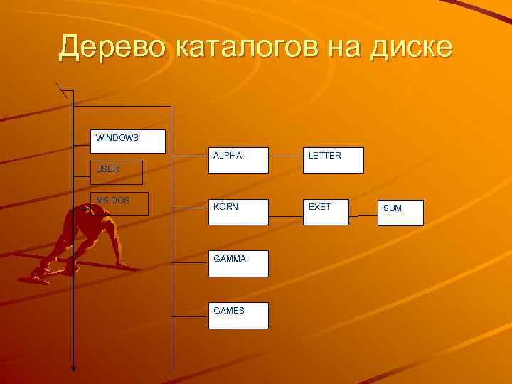 Дерево каталогов на диске WINDOWS ALPHA LETTER KORN EXET USER MS DOS GAMMA GAMES