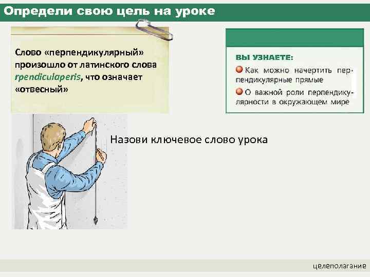 Определи свою цель на уроке Слово «перпендикулярный» произошло от латинского слова rpendiculaperis, что означает