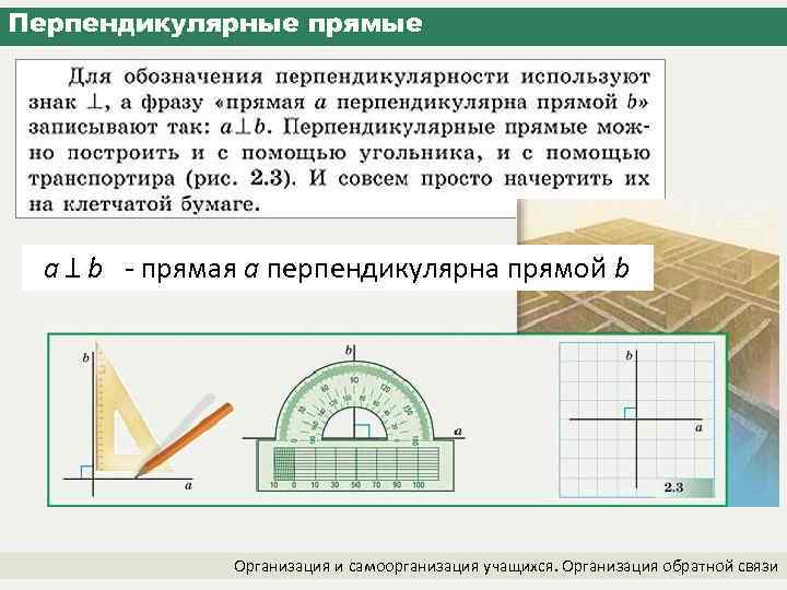 Перпендикулярные прямые a b - прямая a перпендикулярна прямой b Организация и самоорганизация учащихся.