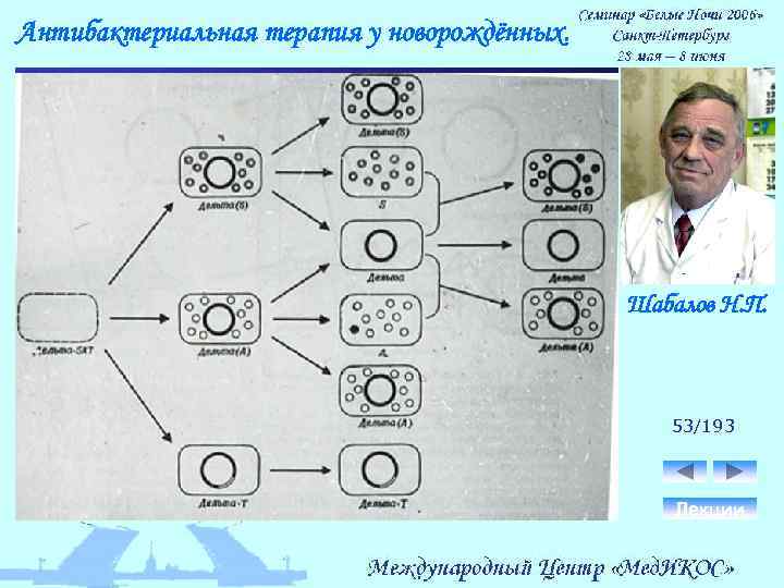 Антибактериальная терапия у новорождённых. Шабалов Н. П. 53/193 Лекции 