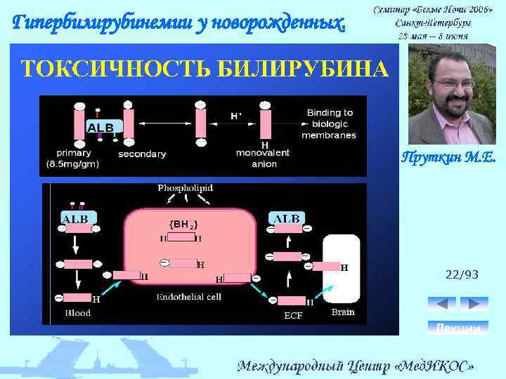 Гипербилирубинемии у новорожденных. Пруткин М. Е. 22/93 Лекции 
