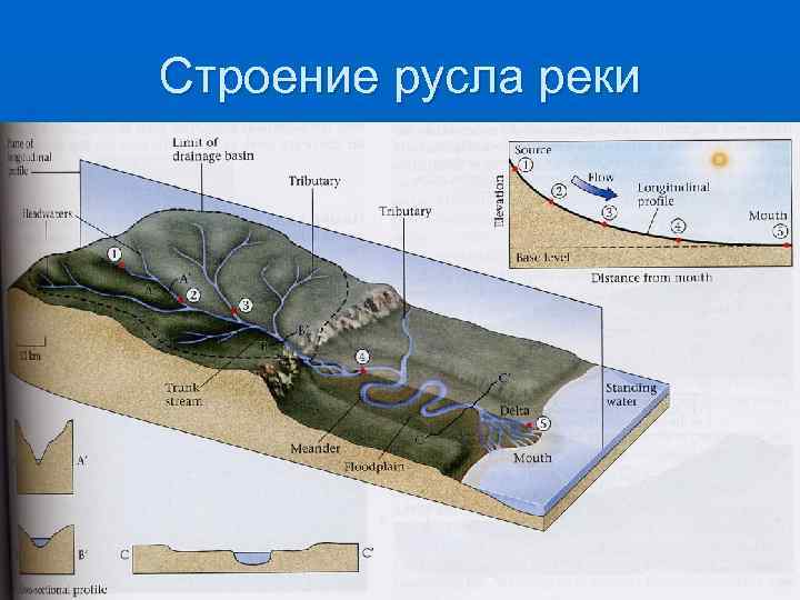 Речное строение