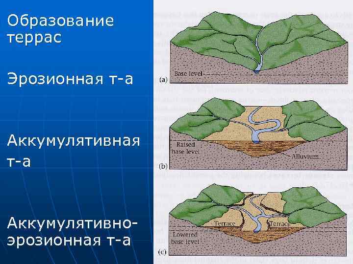 n n n Образование террас Эрозионная т-а Аккумулятивноэрозионная т-а 